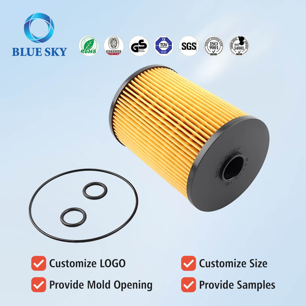 Customizable 11252754870 Fuel Filter Kit for Mini Cooper R55 R56 R57 R58 (2007-2015) 맞춤형 11252754870 미니 쿠퍼 R55 R56 R57 R58(2007-2015)용 연료 필터 키트